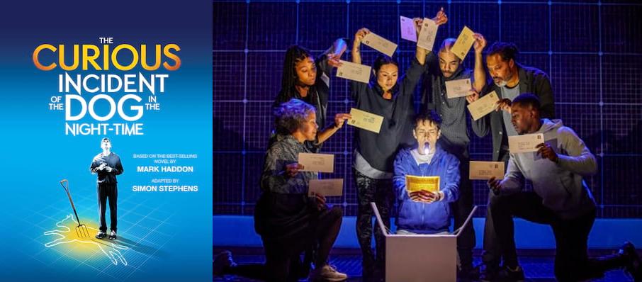 The Curious Incident of the Dog in the Night-Time at Mayflower Theatre